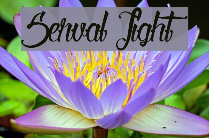 Serval Light Font examples