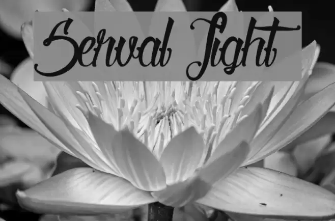 Serval Light Font examples