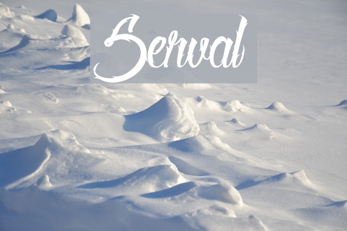 Serval Font examples