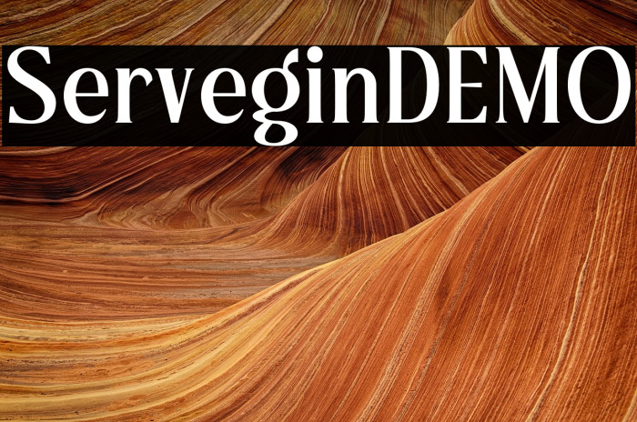 ServeginDEMO Example 2