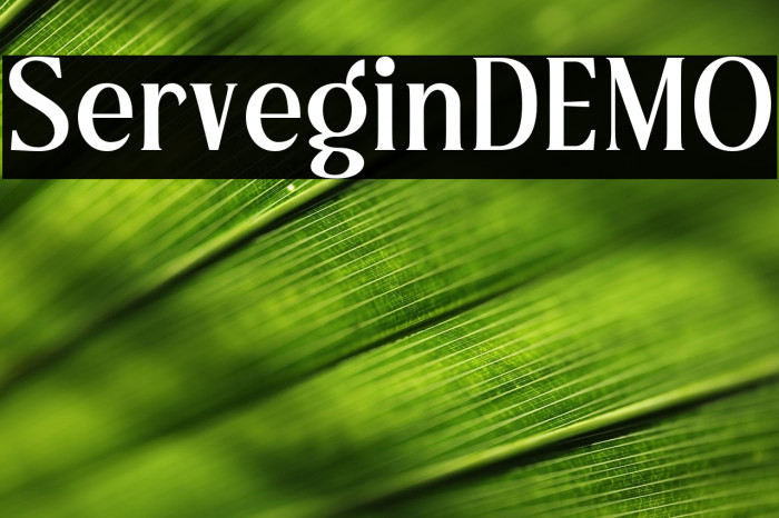 ServeginDEMO Example 3