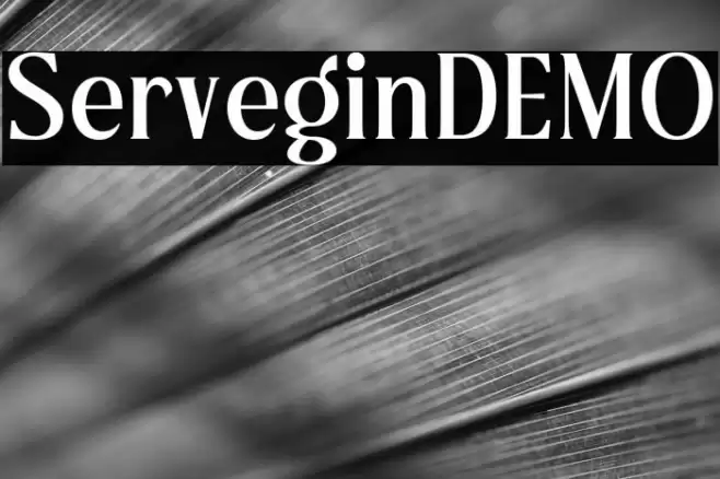 ServeginDEMO Font examples