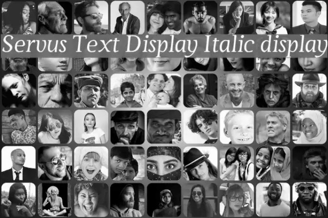 Servus Text Display Italic display Font examples
