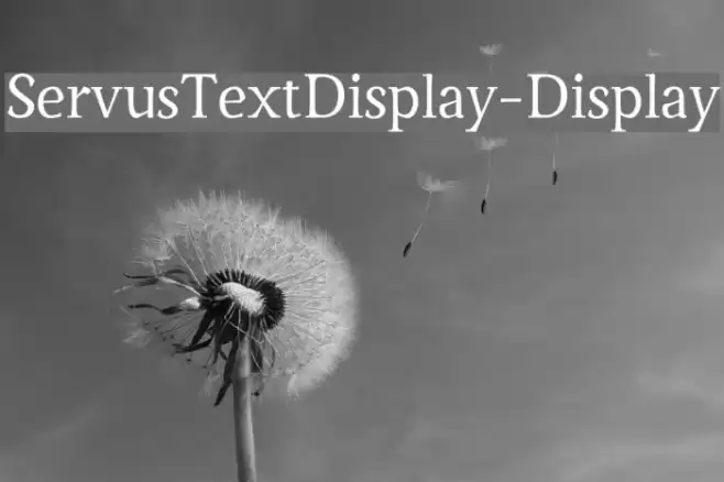 ServusTextDisplay-Display Font examples