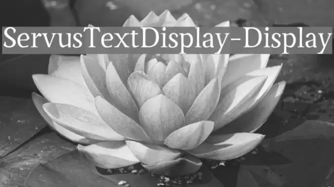 ServusTextDisplay-Display Font examples