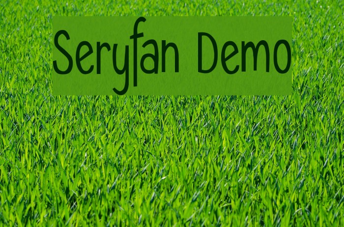 Seryfan Demo Fuentes examples
