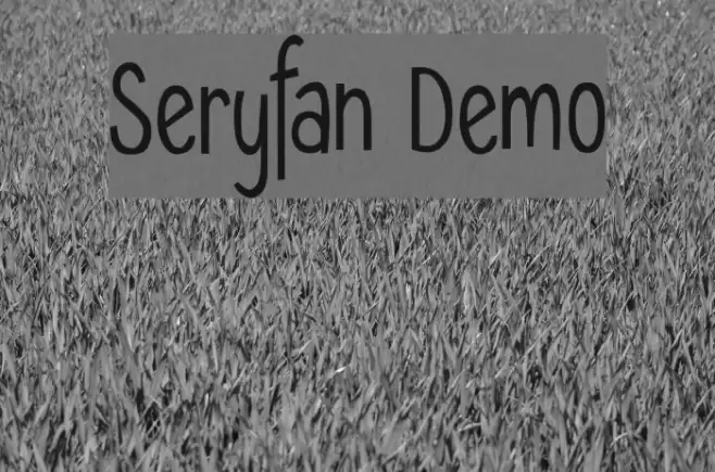 Seryfan Demo Font examples