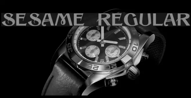 Sesame Regular Font examples