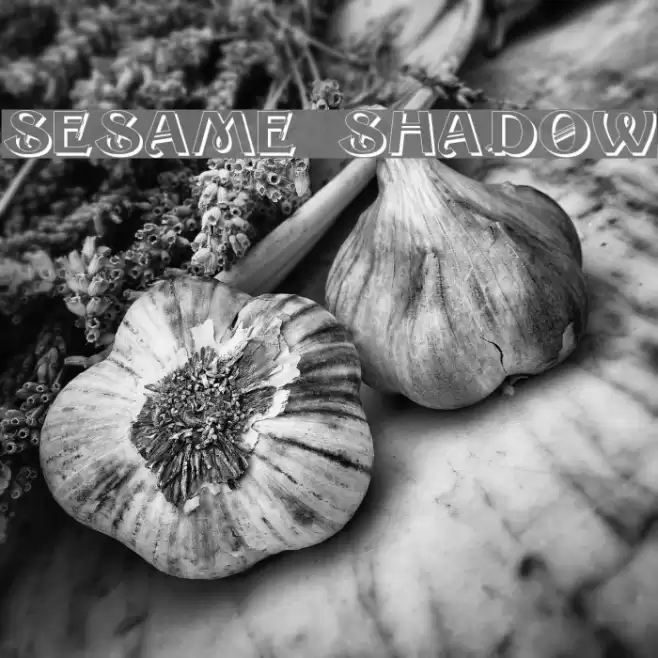 Sesame Shadow Font examples