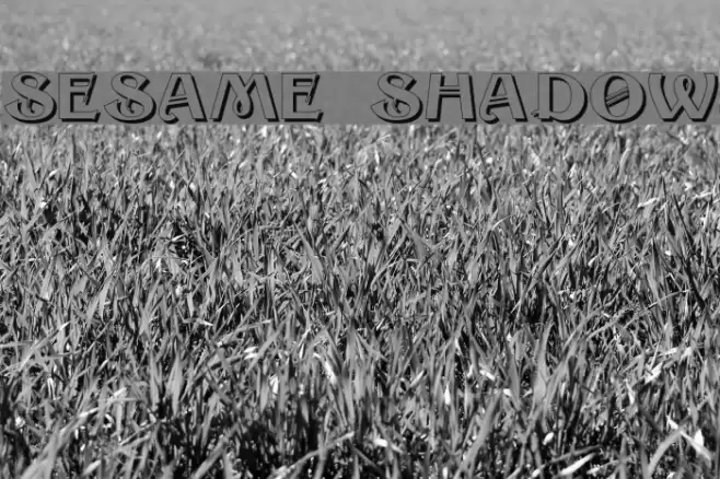 Sesame Shadow Font examples