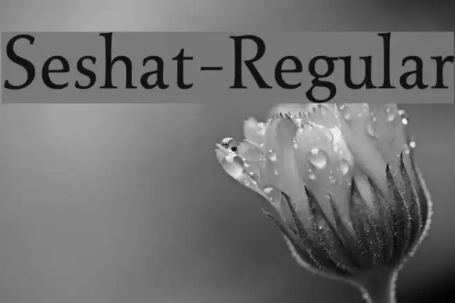 Seshat-Regular Font examples