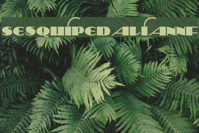 SesquipedalianNF Font examples