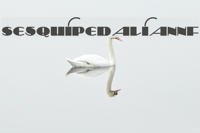 SesquipedalianNF Font examples
