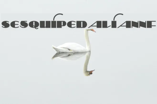 SesquipedalianNF Example 3