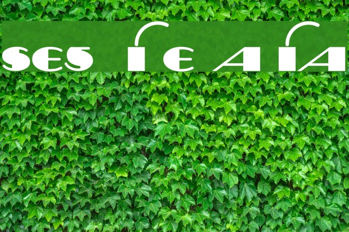 Sesquipedalian Font examples