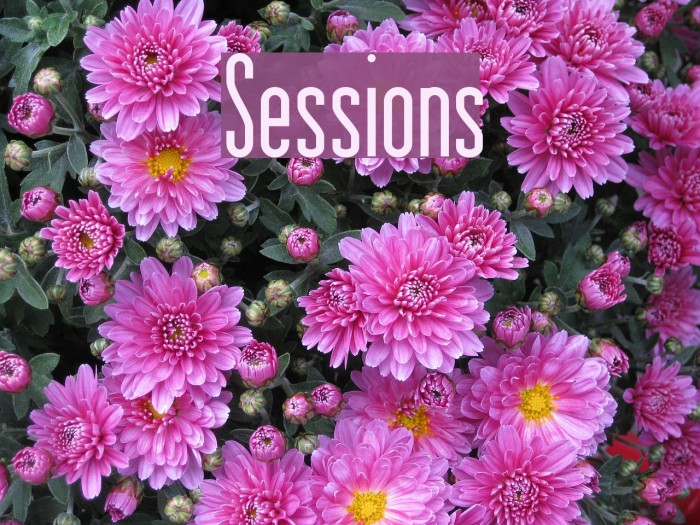 Sessions Font examples