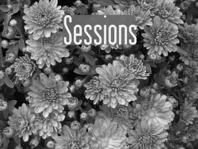 Sessions Font examples