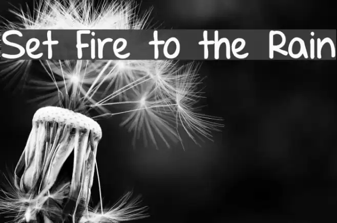 Set Fire to the Rain Font examples