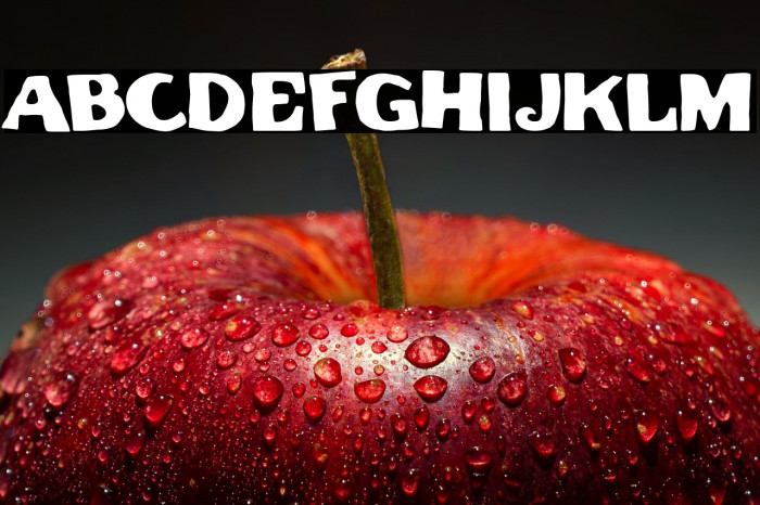 Set of Teeth Example 3