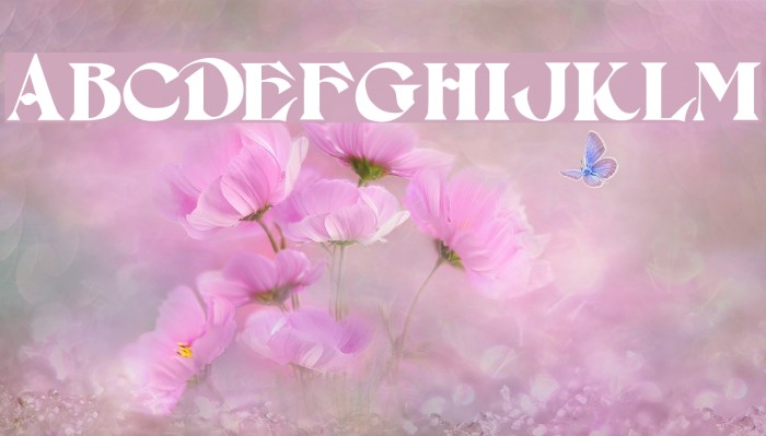 Setebos フォント examples