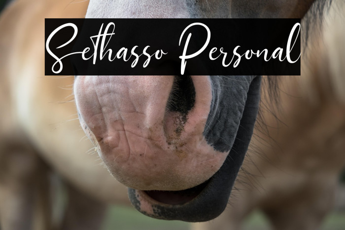 Sethasso Personal Example 2