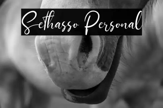 Sethasso Personal Font examples