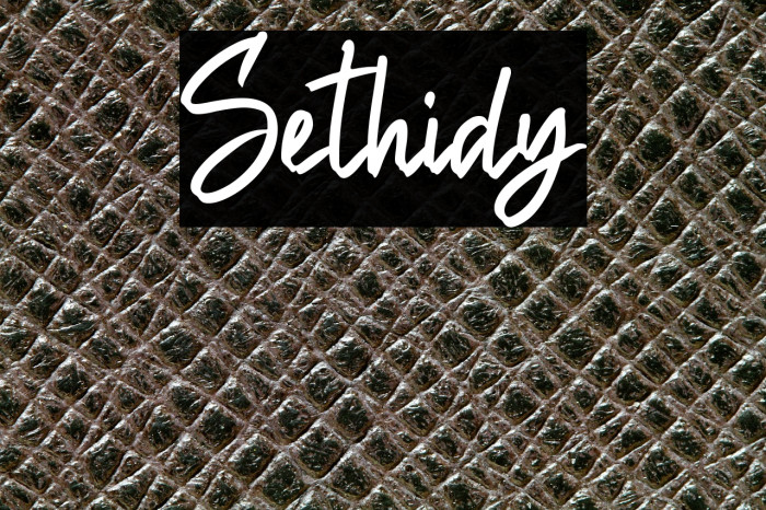 Sethidy Example 1