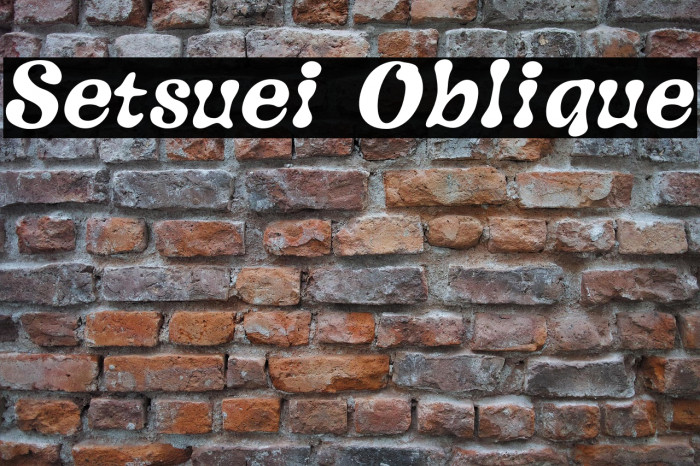 Setsuei Oblique Example 2