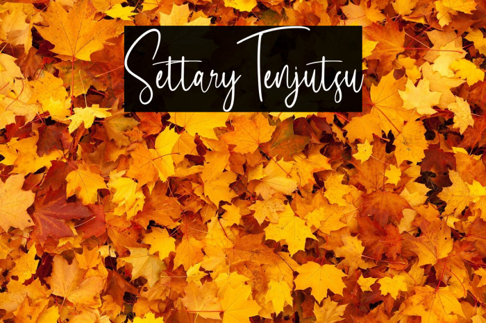 Settary Tenjutsu Example 1