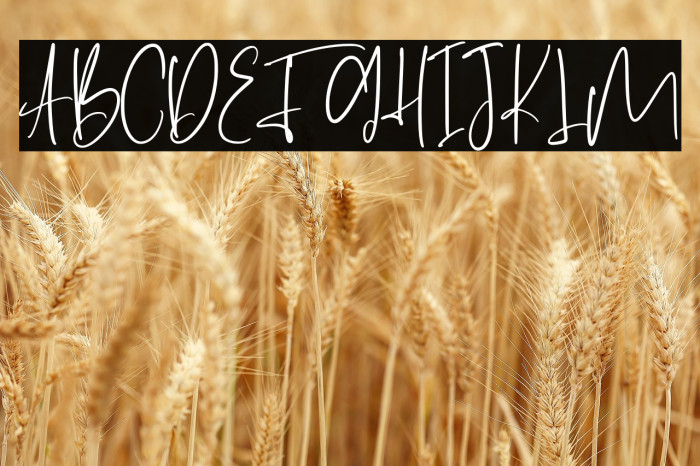 SettaryTenjutsu-Regular Example 2