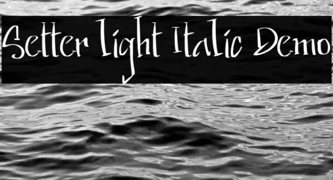 Setter light Italic Demo Font examples