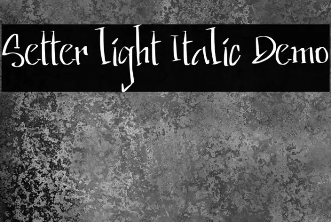 Setter light Italic Demo Font examples