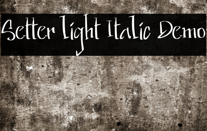 Setter light Italic Demo Fonte examples