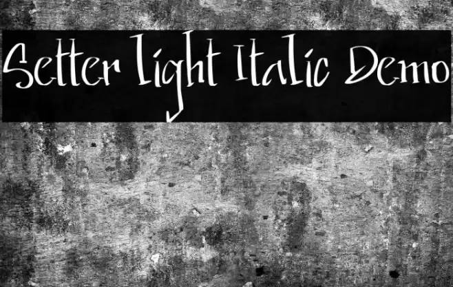 Setter light Italic Demo Font examples