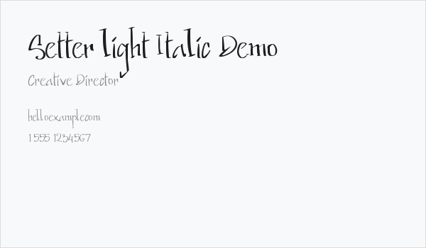 Setter light Italic Demo Business Card