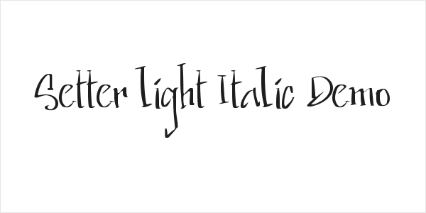 Setter light Italic Demo Logo