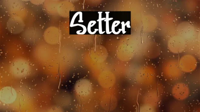 Setter Example 1