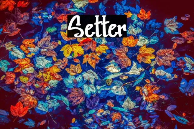 Setter Example 3