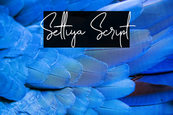 Settiya Script Example 1