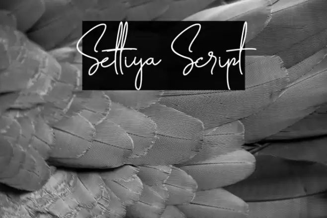Settiya Script Font examples