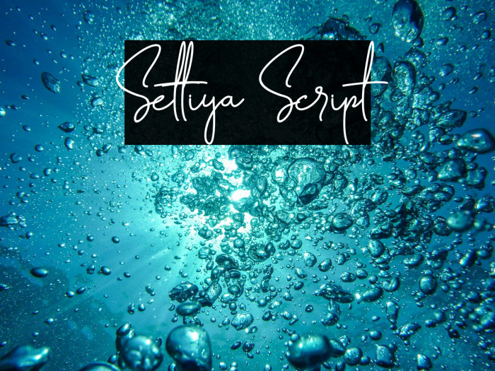 Settiya Script Example 2