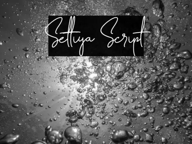 Settiya Script Font examples