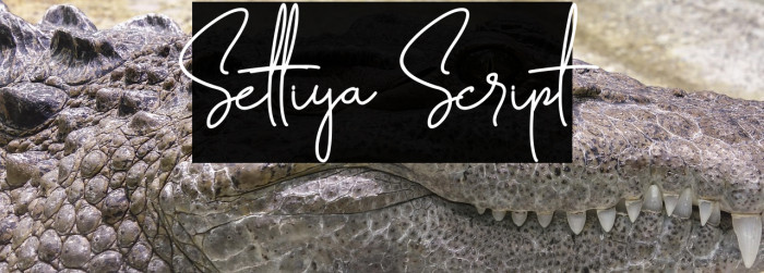 Settiya Script Example 3