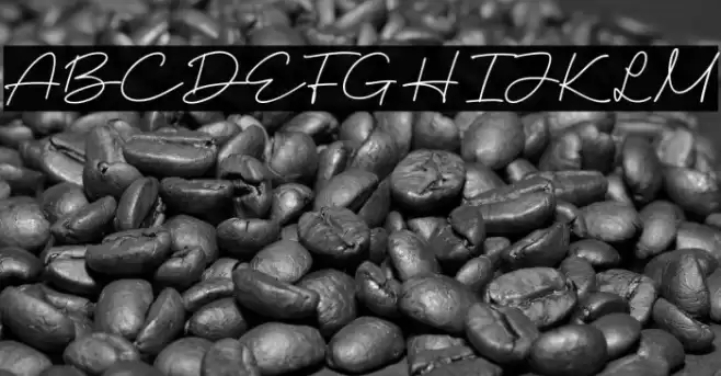 Setubal Fuentes examples