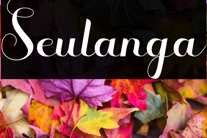 Seulanga Example 1