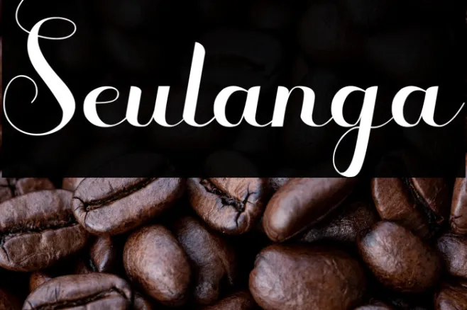 Seulanga Example 2