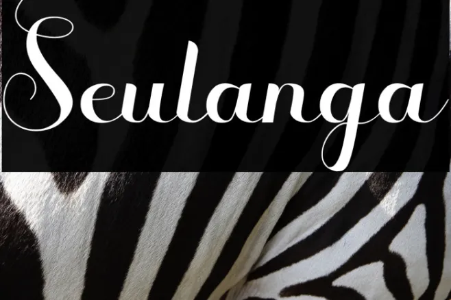Seulanga Example 3