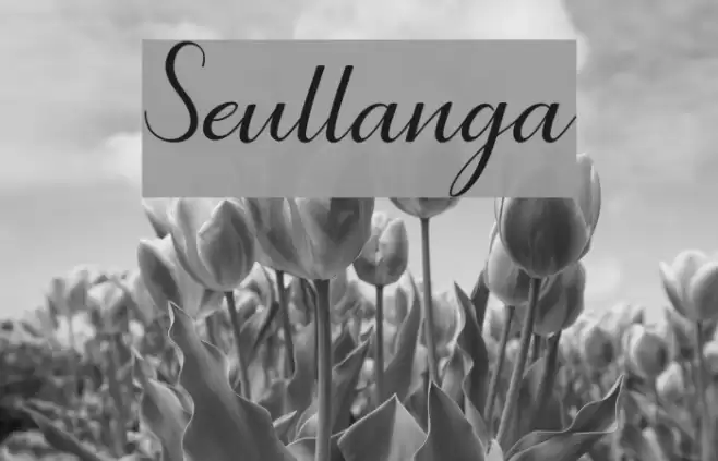 Seullanga Font examples