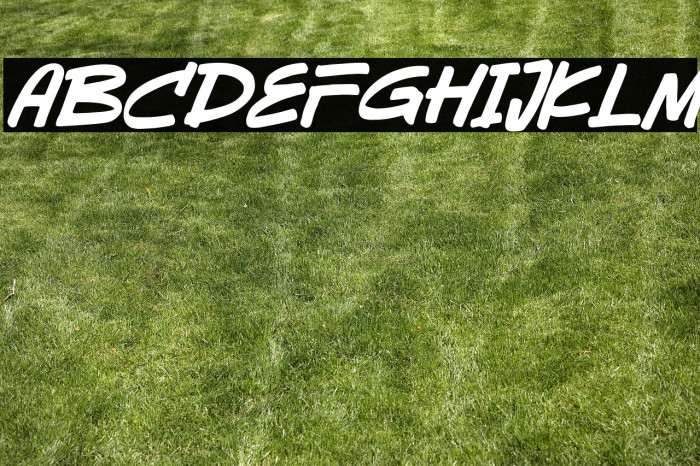 Sevarozi Italic Example 1