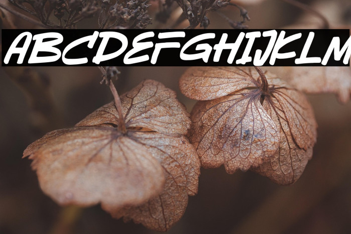 Sevarozi Italic Example 2